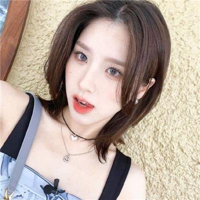 梦之森林